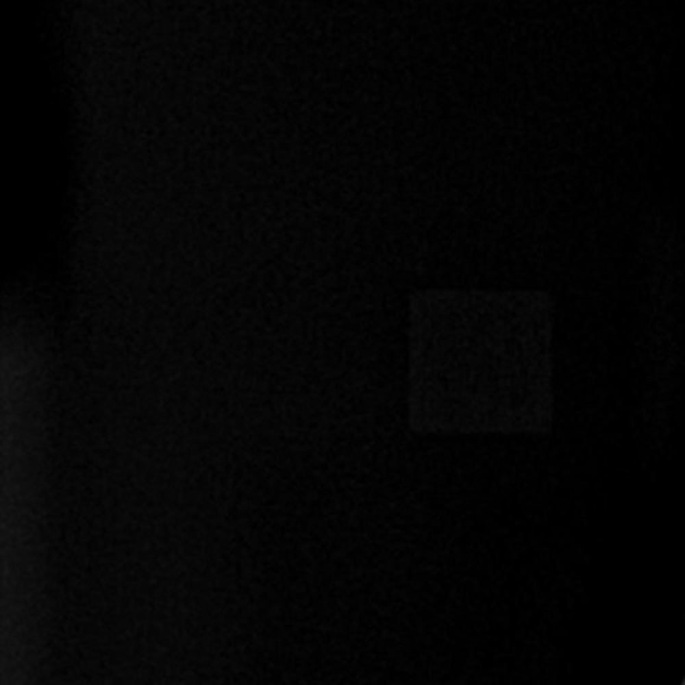 Meet your Posher, Annika